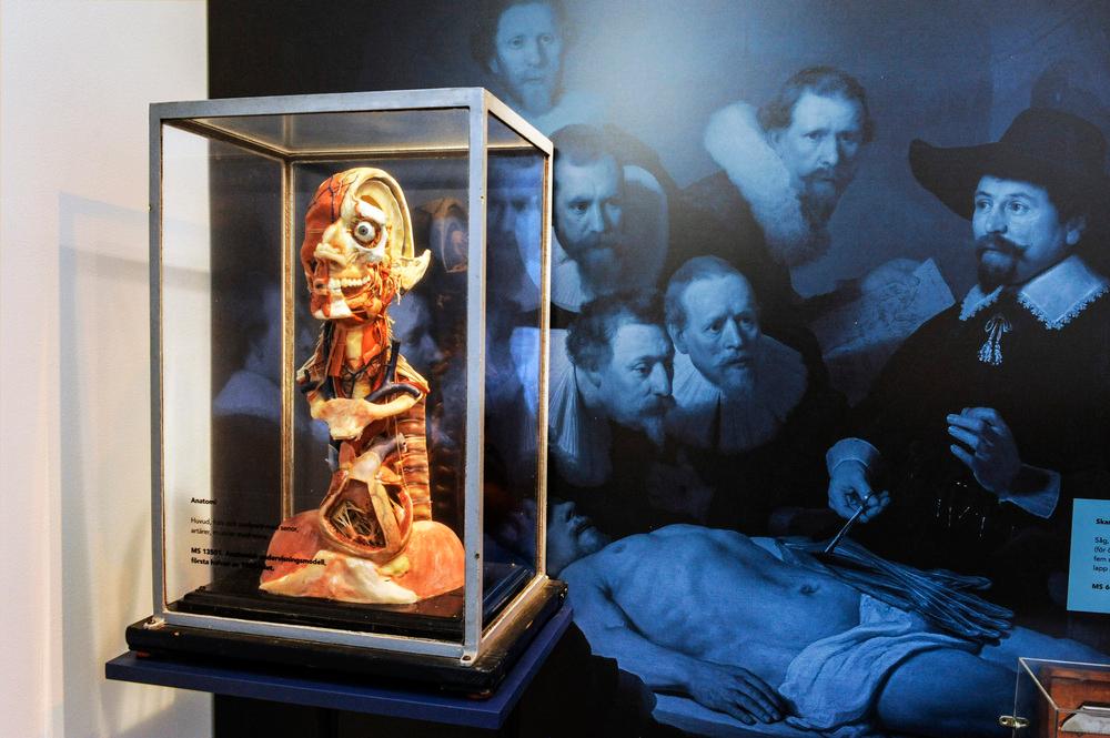 北京博物館展覽館展廳在展覽布置設(shè)計上的特點3